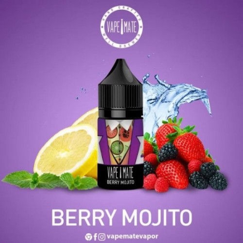 Vape Mate Salt Likit Berry Mojito
